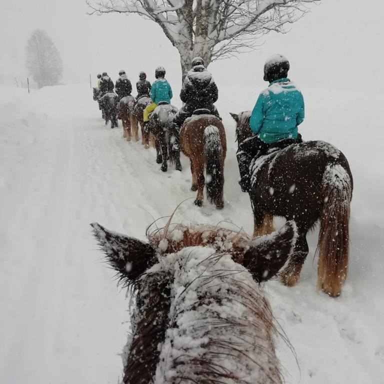 Ponyreiten in Reit im Winkl